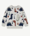 Sweat-shirt ras-du-cou graphique