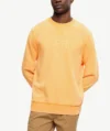 Sweatshirt En Coton Coupe Décontractée