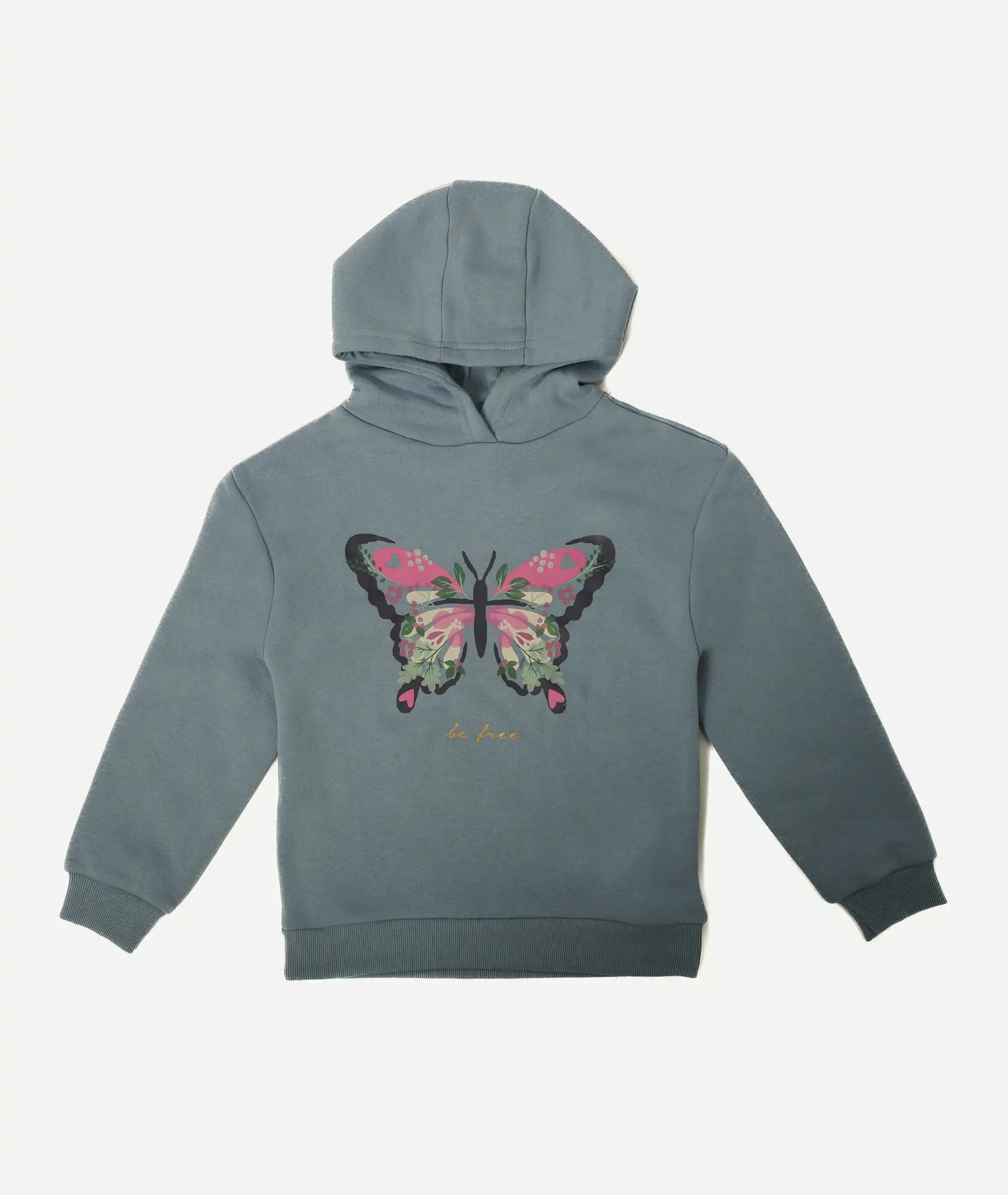 E-169010014-006_A Hoodie Primark papillon – Image 1
