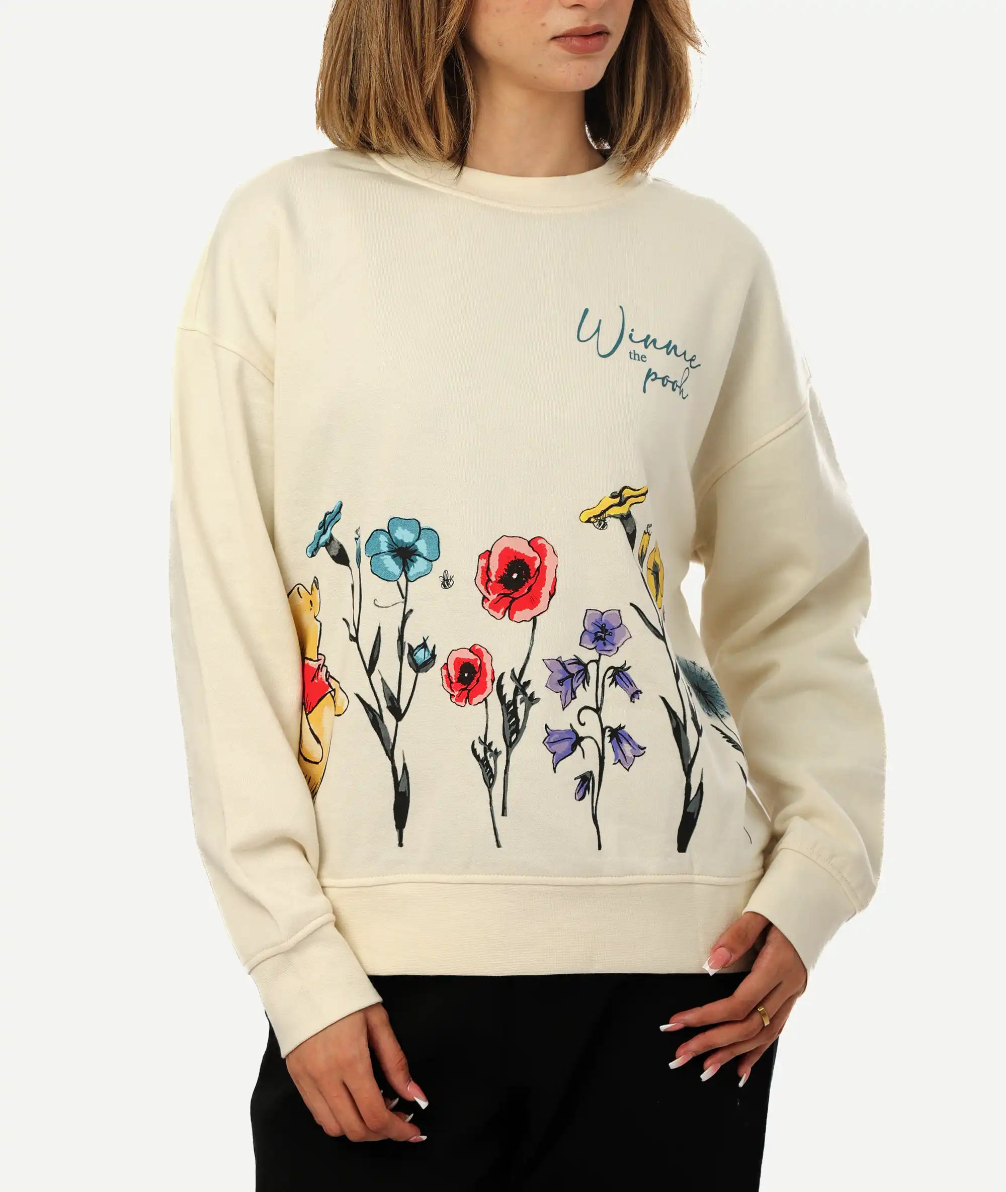 E-169038013-012_A Sweatshirt PRIMARK Beige – Image 1