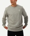 Sweatshirts REEBOK Gris