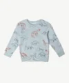 Sweatshirt NAME IT Motifs Dinosaures