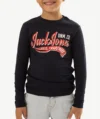 Pulls JACK&JONES Bleu