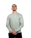 Sweatshirts JULES Basique Vert clair